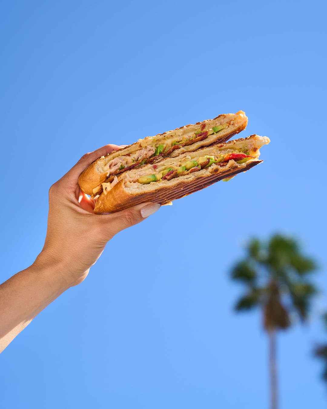 Sandwich from Blueloop Coffee Centro in Alicante, held up against a blue sky