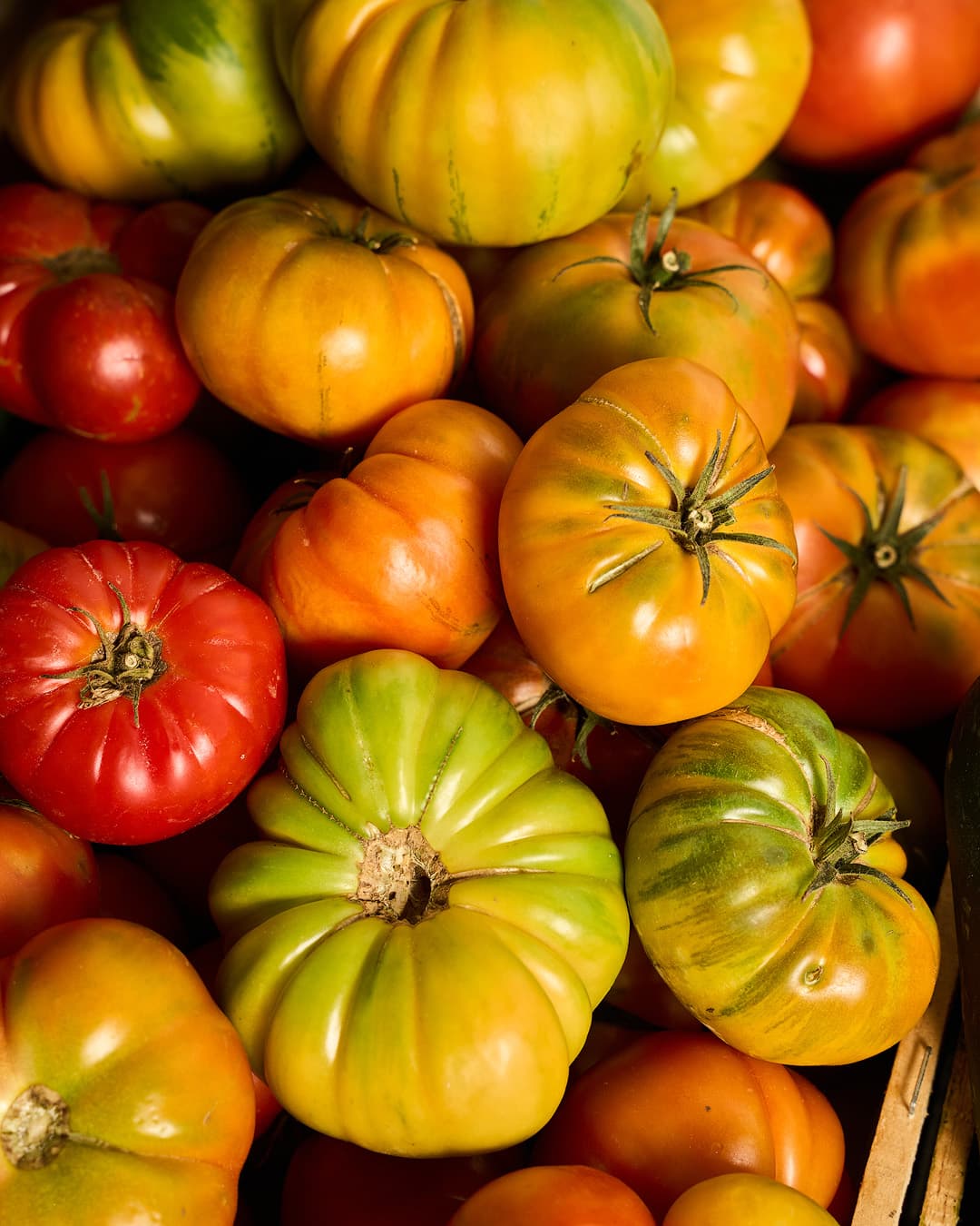 Murcian garden tomatoes at Zagálico, Alicante